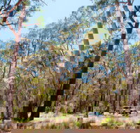 Coolah Tops National Park Camping