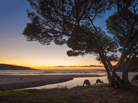 Merry Beach Caravan Park - Yamba Accommodation 1