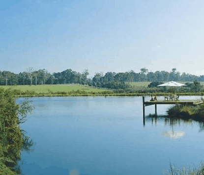 Forest Rise Eco Retreat - Yamba Accommodation