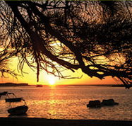 Pelican's Nest - Yamba Accommodation