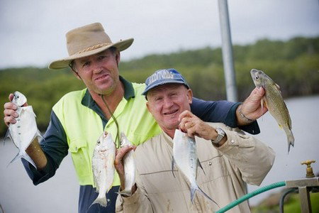 Terrace Reserve Holiday Park - Yamba Accommodation 1