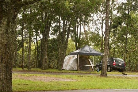 Terrace Reserve Holiday Park - Yamba Accommodation 3