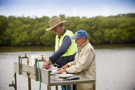 Terrace Reserve Holiday Park - Yamba Accommodation 5