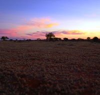 Wogarno Homestead - Yamba Accommodation