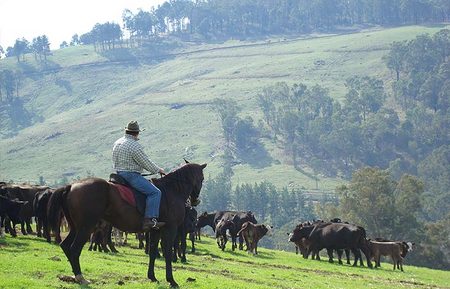 Bridgetown Riverside Chalets - Yamba Accommodation 3