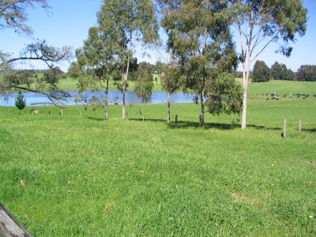 Warren Grange Farmstay And Bed & Breakfast - Yamba Accommodation 3