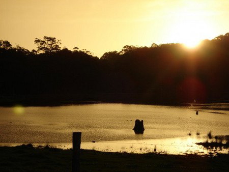 Diamond Tree Farm Stay - Yamba Accommodation 4