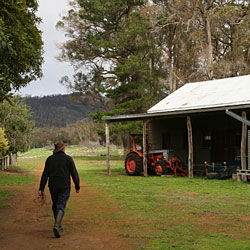 Bolganup Homestead - Yamba Accommodation 2