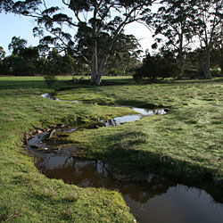 Bolganup Homestead - Yamba Accommodation 3