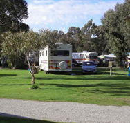 Pinjarra Caravan Park - Yamba Accommodation