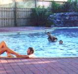 Shark Bay Caravan Park - Yamba Accommodation