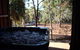 Black Wattle Retreat - thumb 3