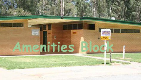 Barham Caravan And Tourist Park - Yamba Accommodation 5