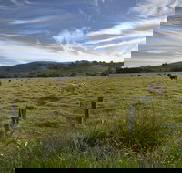 Annas Retreat - Yamba Accommodation