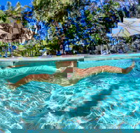 BIG4 Ballina Headlands Holiday Park - Yamba Accommodation