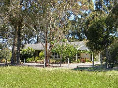 Cygnet Park Country Retreat - Yamba Accommodation 1