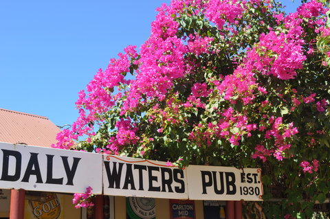 Daly Waters Historic Pub - Yamba Accommodation 0