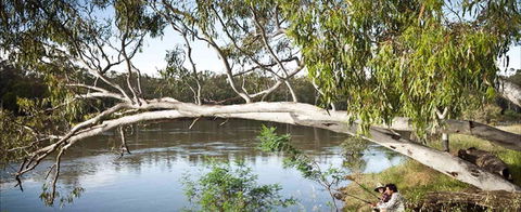 Hay Caravan Park - Yamba Accommodation 1