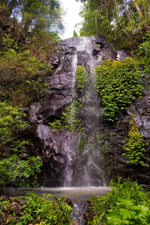Nimbin Waterfall Retreat - Yamba Accommodation 0