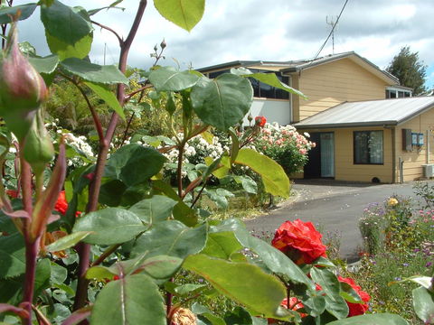 North East Restawhile Bed And Breakfast - Yamba Accommodation 1
