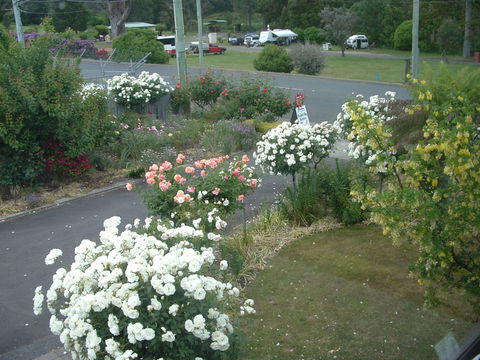 North East Restawhile Bed And Breakfast - Yamba Accommodation 2