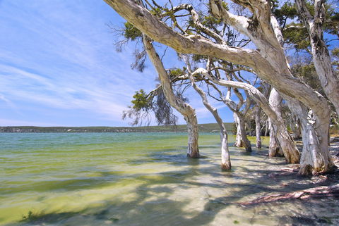Shoal Cape Camp At Stokes National Park - Yamba Accommodation 0