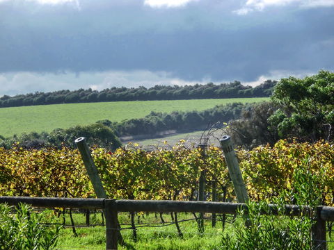 Suma Park Estate - Yamba Accommodation 1