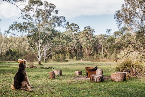 Warialda - Yamba Accommodation 1