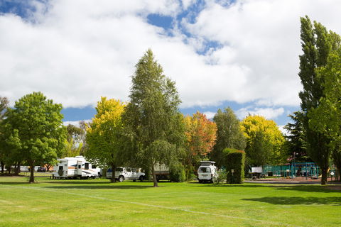 Armidale Tourist Park - Yamba Accommodation 0