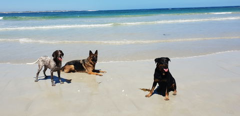 BIG4 Warrnambool Figtree Holiday Park - Yamba Accommodation 2
