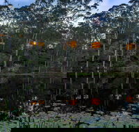 Billabong Retreat - Yamba Accommodation