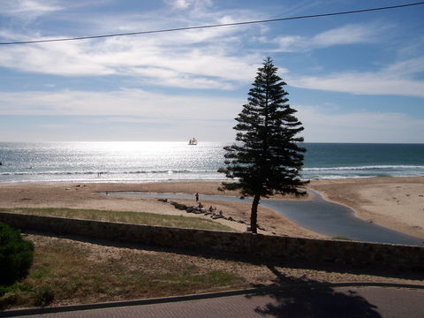 Christies Seahorse - Yamba Accommodation 1