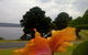 Eden Oceanview - thumb 1