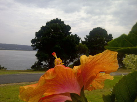 Eden Oceanview - Yamba Accommodation 1