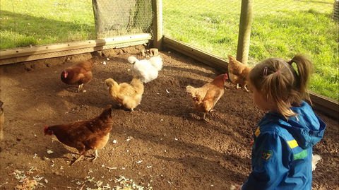Emerald Park Holiday Farm - Yamba Accommodation 2