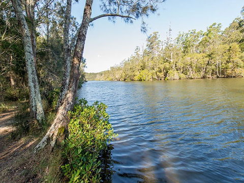 Ferny Creek Campground - Yamba Accommodation 0