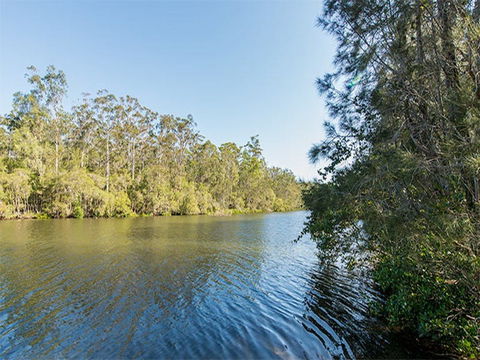 Ferny Creek Campground - Yamba Accommodation 1