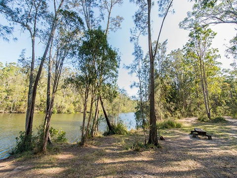 Ferny Creek Campground - Yamba Accommodation 2