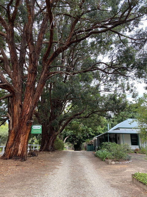 Fernleigh Accommodation - Yamba Accommodation 0