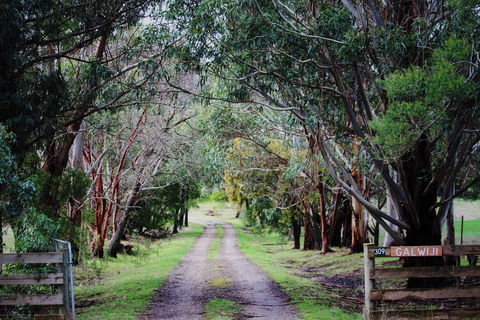 Galwiji Homestead - Yamba Accommodation 1
