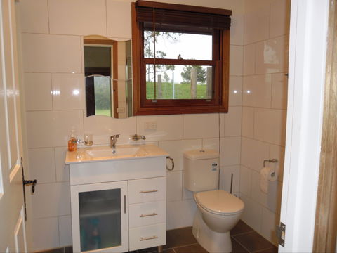 Highland Cattle Farm Stay - Yamba Accommodation 2