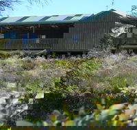 Melaleuca - Eco and Pet Friendly  Harbor Point Cabins - Yamba Accommodation