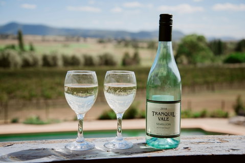 Tranquil Vale Vineyard - Yamba Accommodation 0