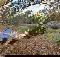 Woolpress Bend campground - Yamba Accommodation