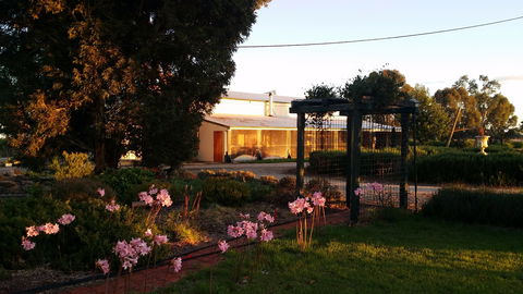 Angas Plains Wines Suites - Yamba Accommodation 1