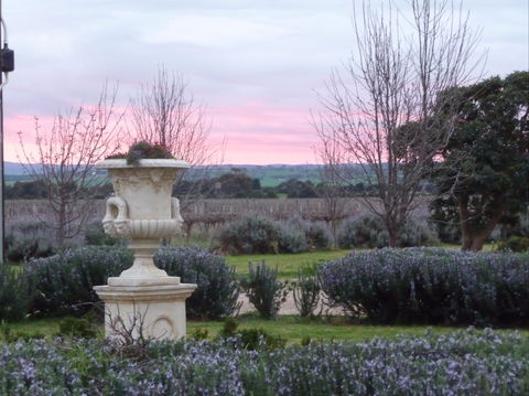 Angas Plains Wines Suites - Yamba Accommodation 2
