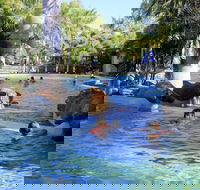 Big4 Aussie Outback Oasis Holiday Park - Yamba Accommodation