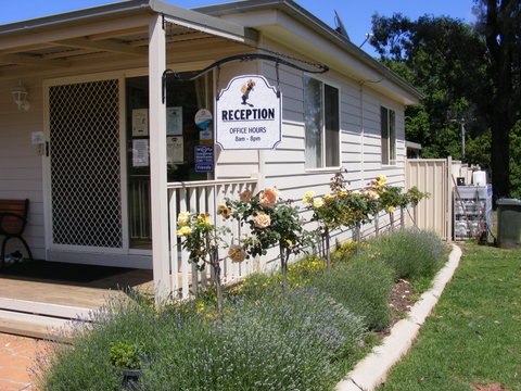 Fossickers' Tourist Park - Yamba Accommodation 0