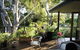 Kookaburra Dreaming - thumb 2