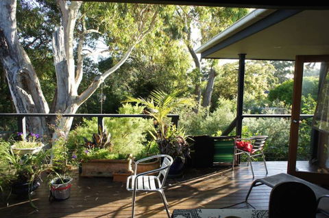 Kookaburra Dreaming - Yamba Accommodation 2
